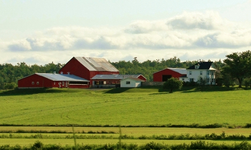 Take a walk on the farm in Middle Stewiacke , Nova Scotia